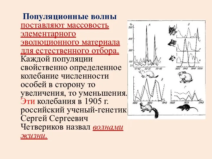 Популяционные волны поставляют массовость элементарного эволюционного материала для естественного отбора. Каждой популяции