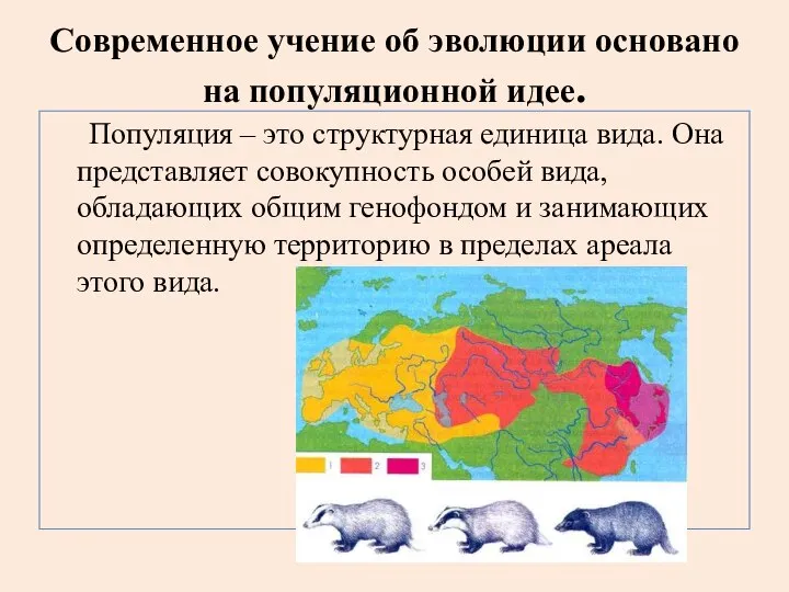 Современное учение об эволюции основано на популяционной идее. Популяция – это структурная