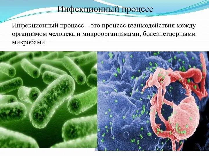 Инфекционный процесс Инфекционный процесс – это процесс взаимодействия между организмом человека и микроорганизмами, болезнетворными микробами.