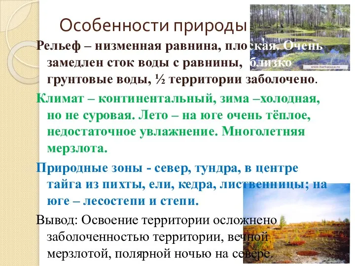 Особенности природы Рельеф – низменная равнина, плоская. Очень замедлен сток воды с