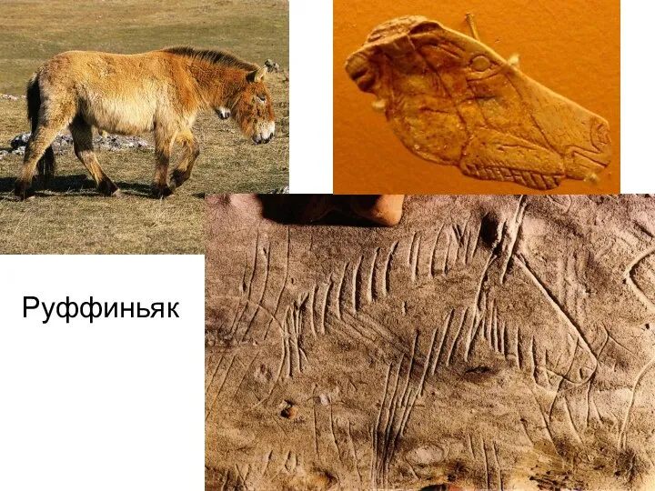 Руффиньяк