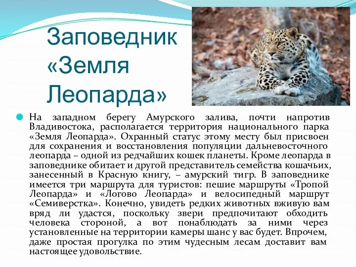 Заповедник «Земля Леопарда» На западном берегу Амурского залива, почти напротив Владивостока, располагается