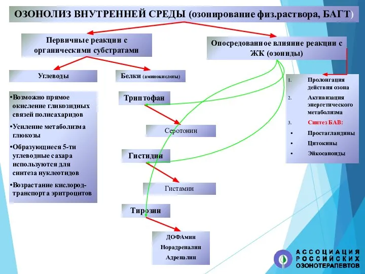 Первичные реакции с органическими субстратами Углеводы Возможно прямое окисление гликозидных связей полисахаридов