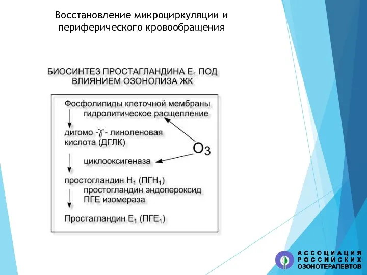 Восстановление микроциркуляции и периферического кровообращения