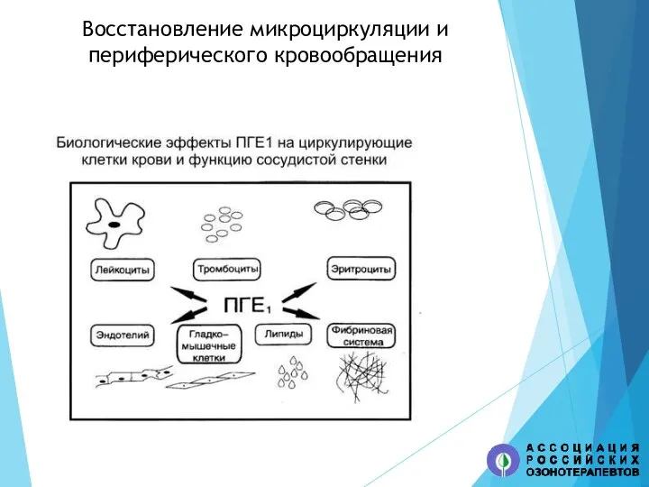 Восстановление микроциркуляции и периферического кровообращения