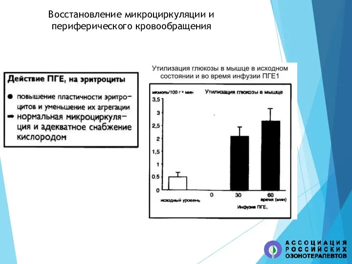 Восстановление микроциркуляции и периферического кровообращения