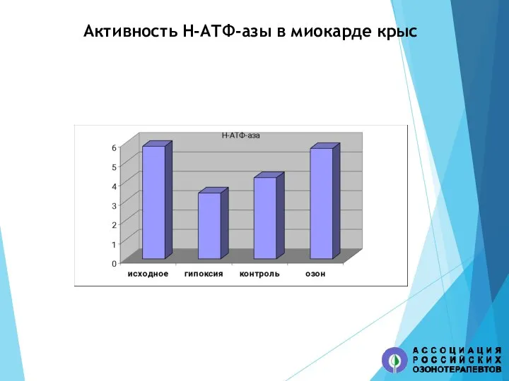 Активность Н-АТФ-азы в миокарде крыс