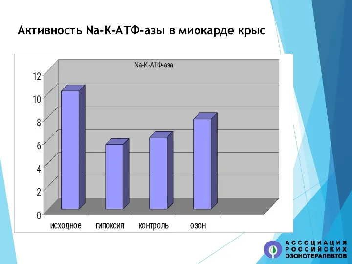 Активность Na-K-АТФ-азы в миокарде крыс