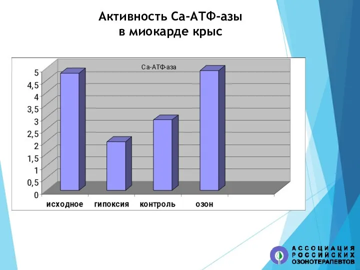 Активность Са-АТФ-азы в миокарде крыс