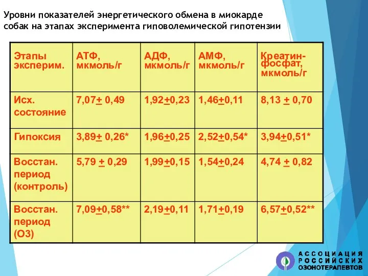 Уровни показателей энергетического обмена в миокарде собак на этапах эксперимента гиповолемической гипотензии