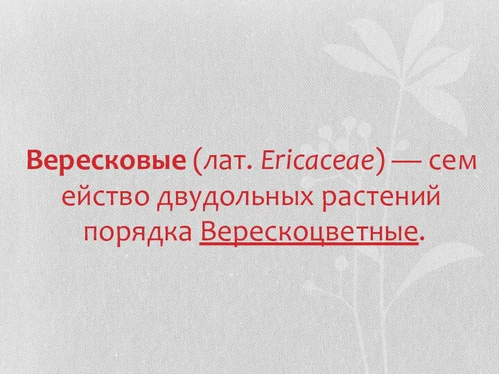 Вересковые (лат. Ericaceae) — семейство двудольных растений порядка Верескоцветные.