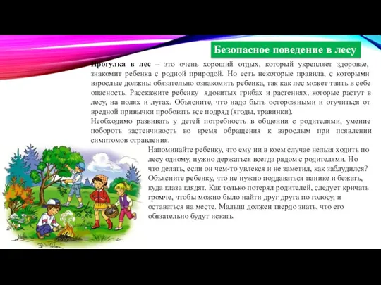 Прогулка в лес – это очень хороший отдых, который укрепляет здоровье, знакомит