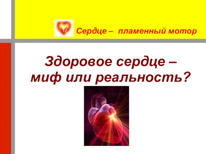 Сердце – пламенный мотор Здоровое сердце – миф или реальность?