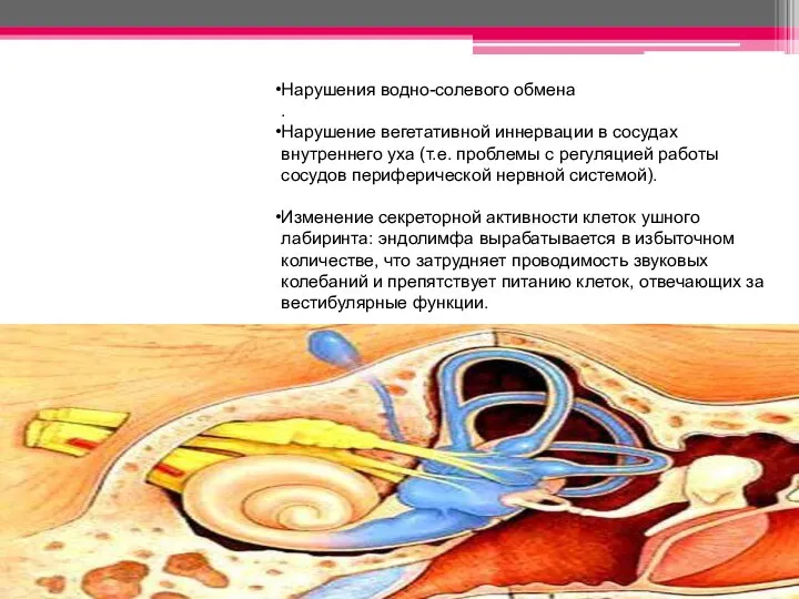 Нарушения водно-солевого обмена . Нарушение вегетативной иннервации в сосудах внутреннего уха (т.е.