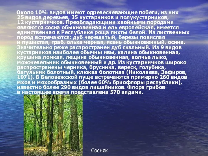 Около 10% видов имеют одревесневающие побеги, из них 25 видов деревьев, 35