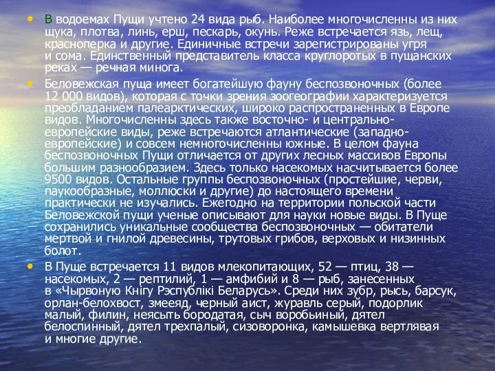 В водоемах Пущи учтено 24 вида рыб. Наиболее многочисленны из них щука,