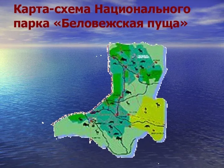 Карта-схема Национального парка «Беловежская пуща»