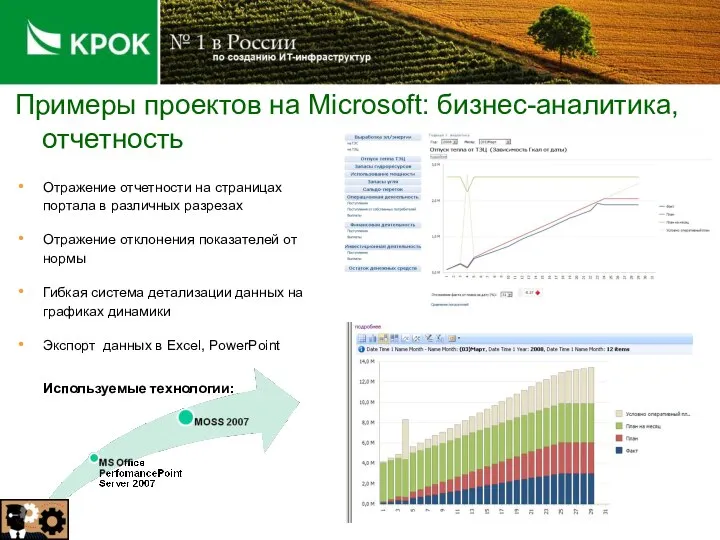 Примеры проектов на Microsoft: бизнес-аналитика, отчетность Используемые технологии: Отражение отчетности на страницах