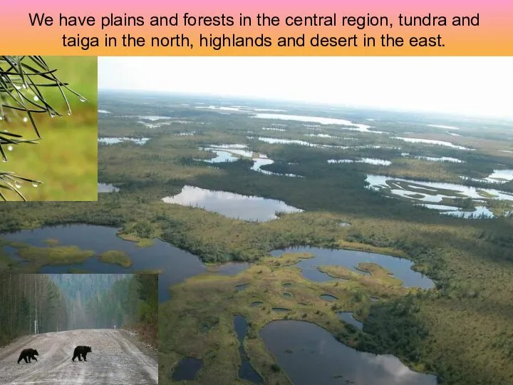 We have plains and forests in the central region, tundra and taiga