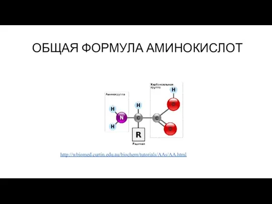 ОБЩАЯ ФОРМУЛА АМИНОКИСЛОТ http://wbiomed.curtin.edu.au/biochem/tutorials/AAs/AA.html