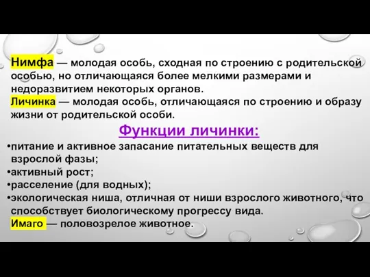 Нимфа — молодая особь, сходная по строению с родительской особью, но отличающаяся