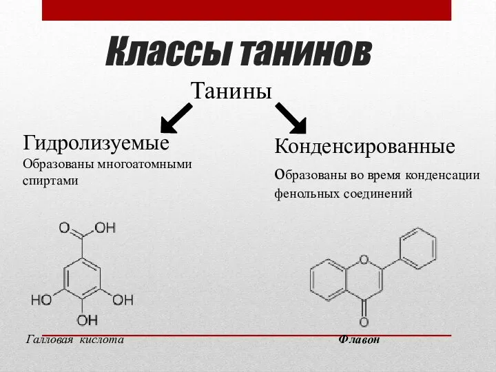 Классы танинов Конденсированные образованы во время конденсации фенольных соединений Галловая кислота Флавон