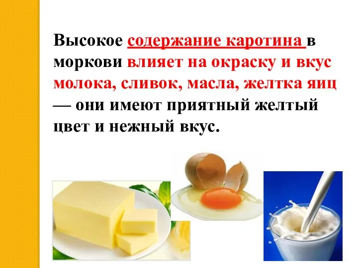 Высокое содержание каротина в моркови влияет на окраску и вкус молока, сливок,