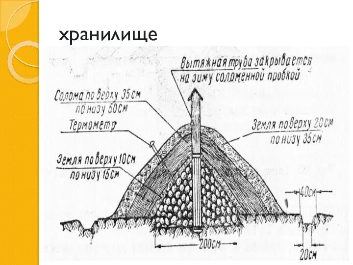 хранилище