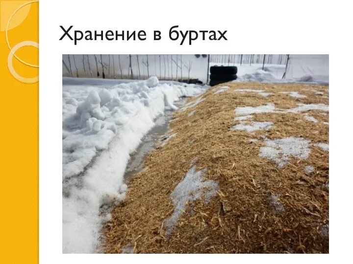 Хранение в буртах