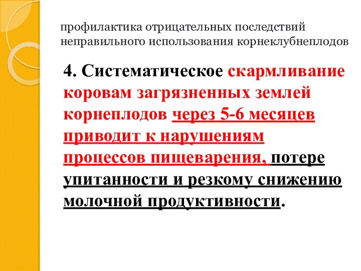 профилактика отрицательных последствий неправильного использования корнеклубнеплодов 4. Систематическое скармлива­ние коровам загрязненных землей