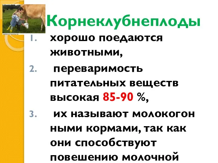 Корнеклубнеплоды хорошо поедаются животными, переваримость питательных веществ высокая 85-90 %, их называют