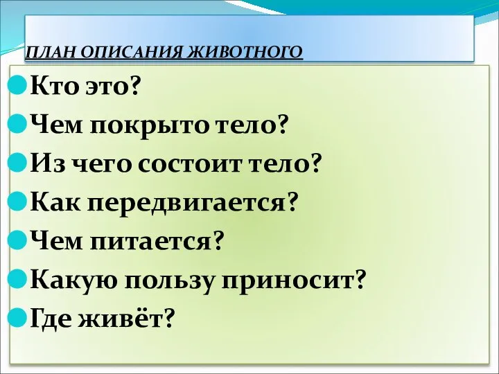 ПЛАН ОПИСАНИЯ ЖИВОТНОГО Кто это? Чем покрыто тело? Из чего состоит тело?