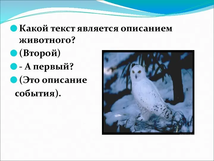 Какой текст является описанием животного? (Второй) - А первый? (Это описание события).