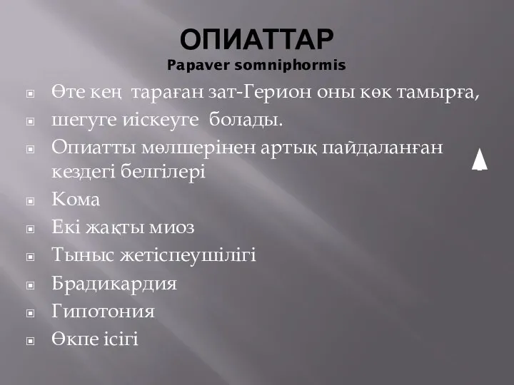 ОПИАТТАР Papaver somniphormis Өте кең тараған зат-Герион оны көк тамырға, шегуге иіскеуге