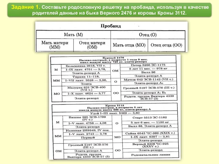 Задание 1. Составьте родословную решетку на пробанда, используя в качестве родителей данные