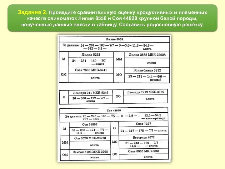 Задание 2. Проведите сравнительную оценку продуктивных и племенных качеств свиноматок Лилия 8558