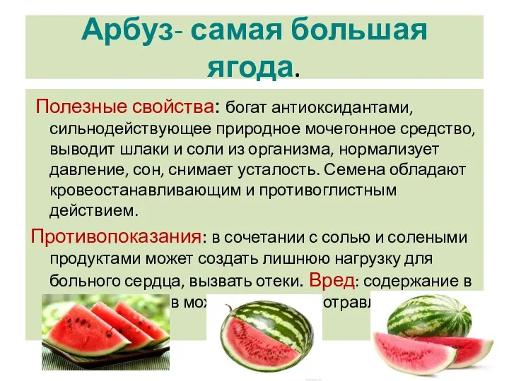 Арбуз- самая большая ягода. Полезные свойства: богат антиоксидантами, сильнодействующее природное мочегонное средство,