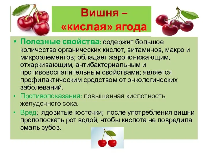 Вишня – «кислая» ягода Полезные свойства: содержит большое количество органических кислот, витаминов,