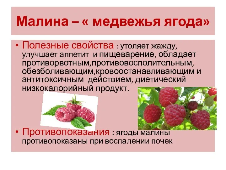 Малина – « медвежья ягода» Полезные свойства : утоляет жажду, улучшает аппетит