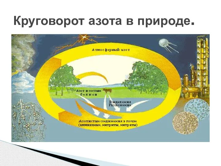 Круговорот азота в природе.