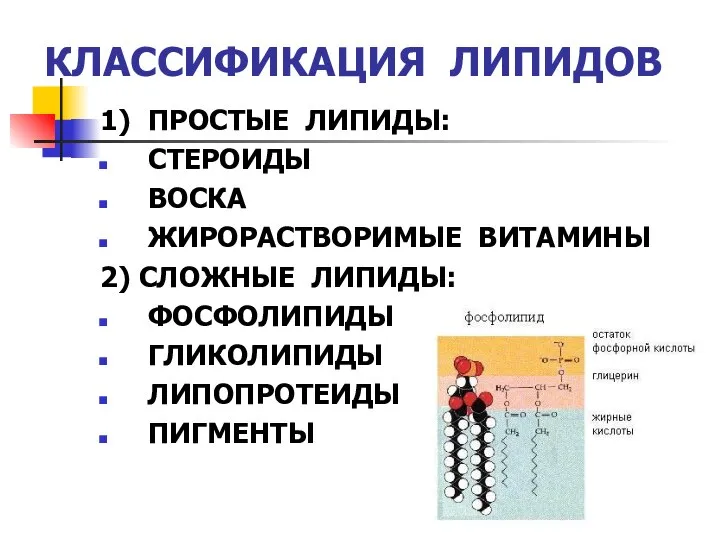 КЛАССИФИКАЦИЯ ЛИПИДОВ 1) ПРОСТЫЕ ЛИПИДЫ: СТЕРОИДЫ ВОСКА ЖИРОРАСТВОРИМЫЕ ВИТАМИНЫ 2) СЛОЖНЫЕ ЛИПИДЫ: ФОСФОЛИПИДЫ ГЛИКОЛИПИДЫ ЛИПОПРОТЕИДЫ ПИГМЕНТЫ