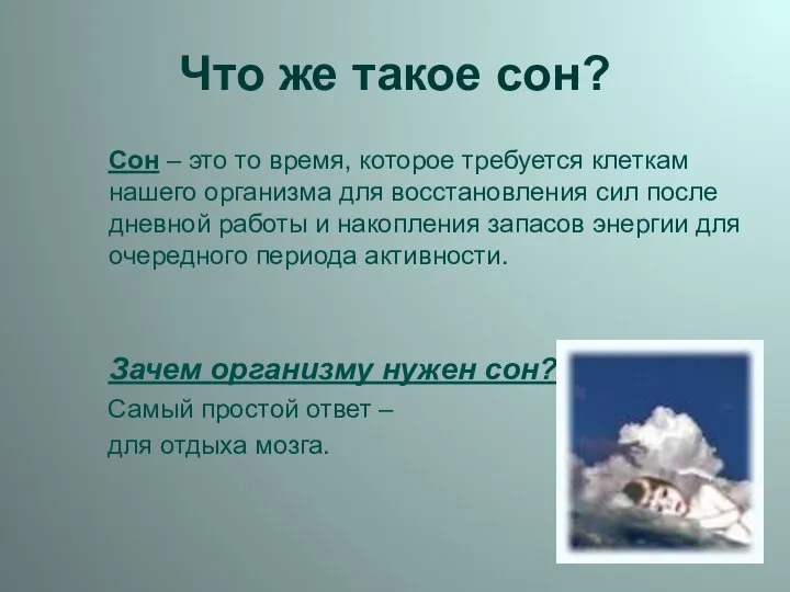 Что же такое сон? Сон – это то время, которое требуется клеткам