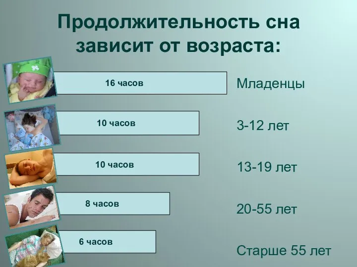 Продолжительность сна зависит от возраста: Младенцы 3-12 лет 13-19 лет 20-55 лет