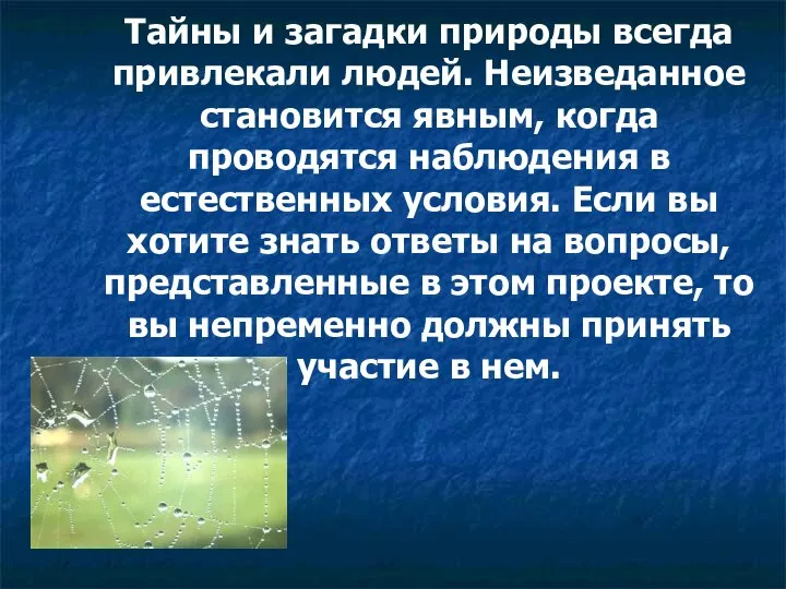 Тайны и загадки природы всегда привлекали людей. Неизведанное становится явным, когда проводятся