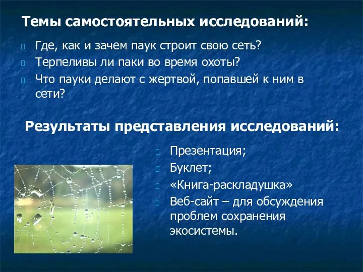 Темы самостоятельных исследований: Где, как и зачем паук строит свою сеть? Терпеливы