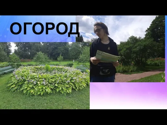 ОГОРОД