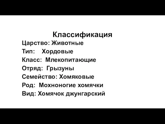 Классификация Царство: Животные Тип: Хордовые Класс: Млекопитающие Отряд: Грызуны Семейство: Хомяковые Род: