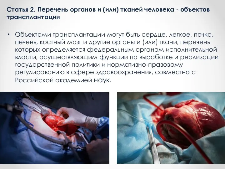 Статья 2. Перечень органов и (или) тканей человека - объектов трансплантации Объектами