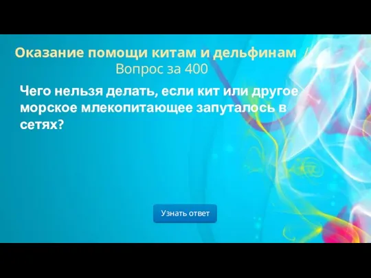 Узнать ответ Оказание помощи китам и дельфинам / Вопрос за 400 Чего