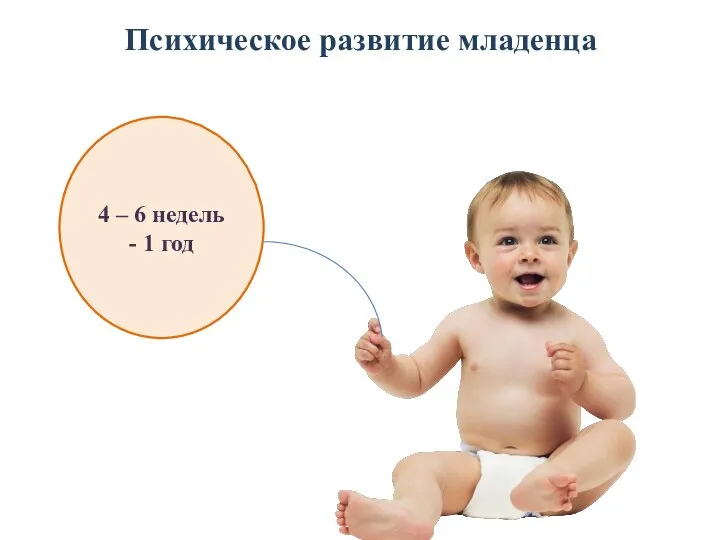 Психическое развитие младенца 4 – 6 недель - 1 год